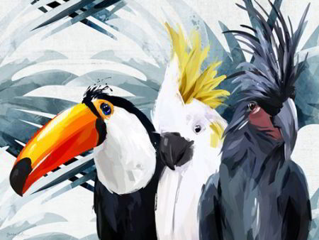 Illustration of tropical birds, a toucan and two cockatoos for art licensing