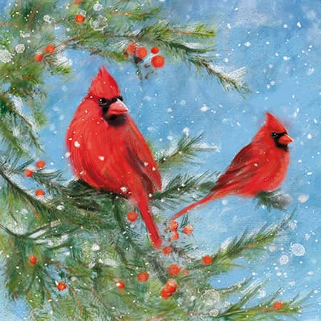 Illustration of christmas red cardinals greeting card design