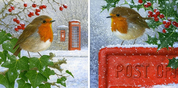 Christmas Robins by Brian Rushton