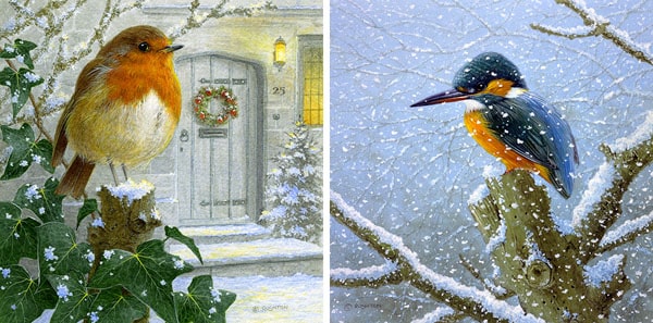 Christmas robin and kingfisher by Brian Rushton