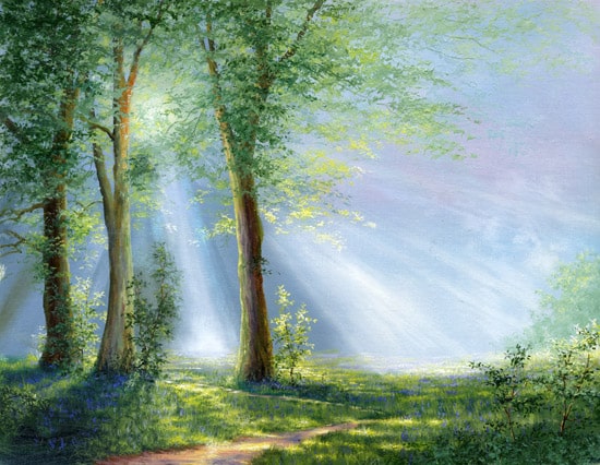 Oil painting of a forest glade with sunbeams coming through the tress for art licensing