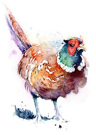 Expressive watercolour painting of a male pheasant for art licensing