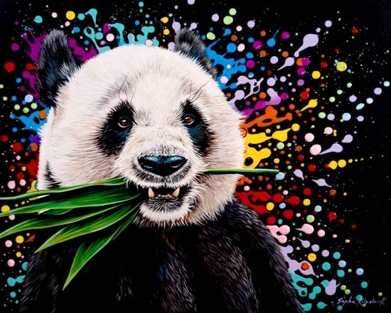 Colourful wildlife painting in acrylics of a panda with bamboo in it's mouth on a black background with bright vibrant splatters of paint for art licensing
