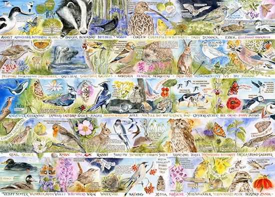 Jigsaw puzzle design by val goldfinch featuring an alphabet of british wildlife. For art licensing.
