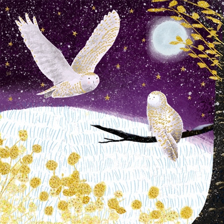 Christmas card art featuring two snowy owls one in flight over a snowy field. For art licensing.