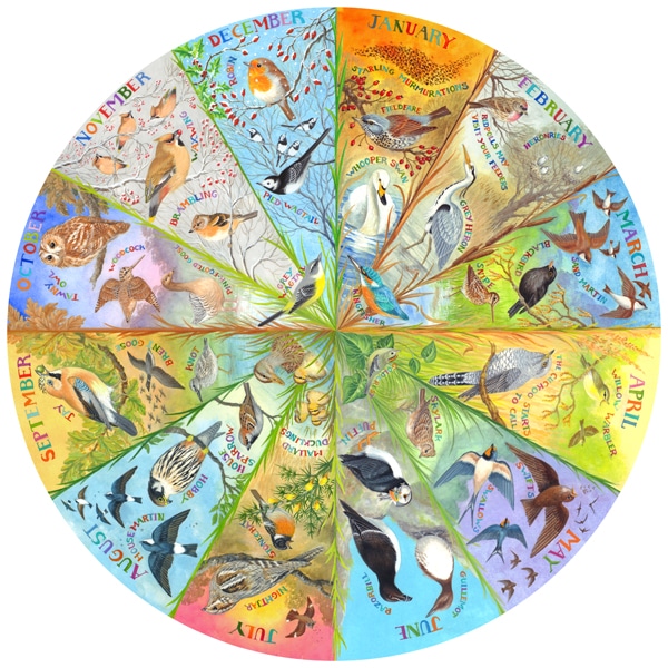 Claire comerford circular design featuring birds throughout the year designed for jigsaw puzzle art licensing in conjunction with gibsons and the rspb.