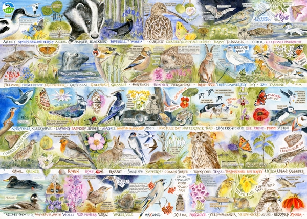 Val goldfinch design featuring an alphabet of british wildlife designed for jigsaw puzzle art licensing in conjunction with gibsons and the rspb.